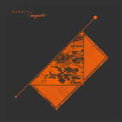 split 12" with marais