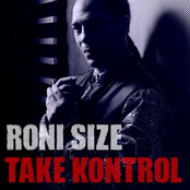 The Big Hurt by Roni Size