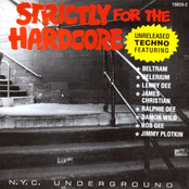 Strictly For The Hardcore: N.Y.C. Underground
