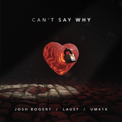 Josh Bogert: Can't Say Why