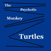 The Psychotic Monkey Turtles