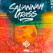 Kes: Savannah Grass