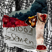 I Have Bricked Up My Heart and Black'd My Eyes