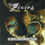 Manta Ray by Pixies