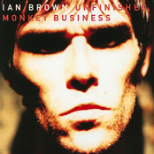 Deep Pile Dreams by Ian Brown