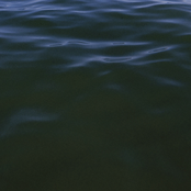 iwishmyhousewasbythewater [Explicit]