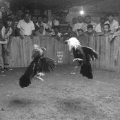 Black Pistol Fire: Don't Wake the Riot