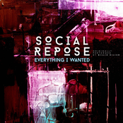 Social Repose: Everything I Wanted