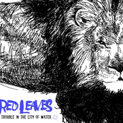 Trouble in the City of Water