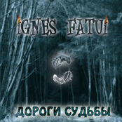 Дороги Судьбы