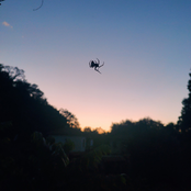 senza spegnere la luce