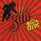 The Black Seeds: On The Sun