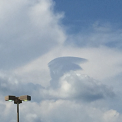 The Isolation Concerts, Volume 2