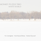 Same Old Same Old by Monkey Puzzle Trio