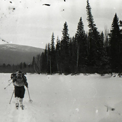 Some With Broken Bones, Some With Missing Teeth