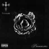 Promesas. Single (2013)