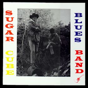 sugar cube blues band