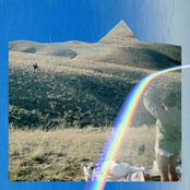 So Totally: In The Shape Of...