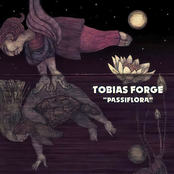 Tobias Forge Cinematique (PASSIFLORA ALBUM)