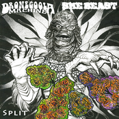 She Beast / Dronegoola Machine split