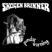 Skogen Brinner - s/t 7"