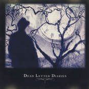 Dead Letter Diaries