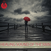 Healing Sound of the Rain