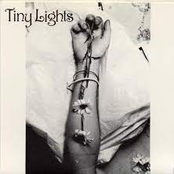 Flowers Through The Air