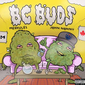 BC Buds