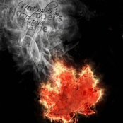 Мир не станет лучше (Single)