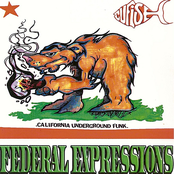 Federal Expressions