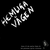 Hemliga Vågen