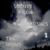 The Sounds EP