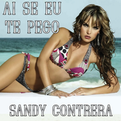 Ai Se Eu Te Pego