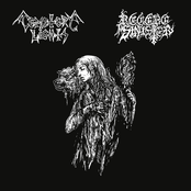 Cemetery Lights / Regere Sinister