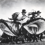 Harmonic Convergence