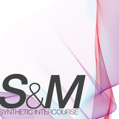 Synthetic Intercourse