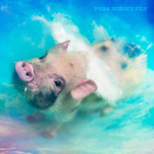 Pigs Might Fly