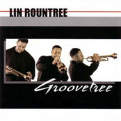 Lin Rountree: Groovetree