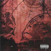 The Seven Levels of Happiness