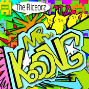 Mr. Kooong