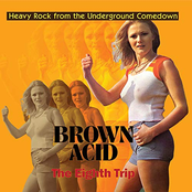 Brown Acid - The Eighth Trip