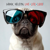 The Final Toast by Hawk Nelson