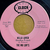 Hello Lover (Goodbye Friend) / Baby You Belong To Me