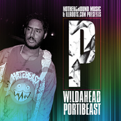 wildahead portibeast