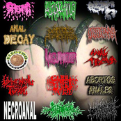 15 Ways To Savor Your Ass (Split)