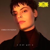 Emily D'Angelo: enargeia