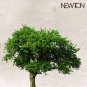 Newton