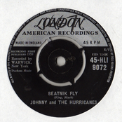 Beatnik Fly