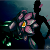 St. Joe Lotus Reloaded